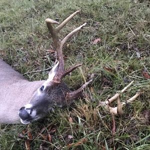 Meet your Posher, Dean